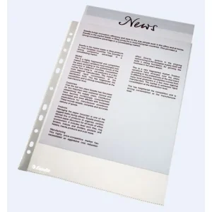 Plastficka ESSELTE PP A4 0,06 klar 100/F