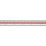 Skallinjal 15cm 1:100:200:300:400:500