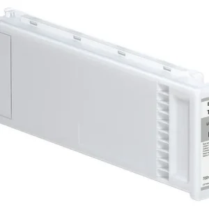 Bläckpatron EPSON C13T800000 L-grå
