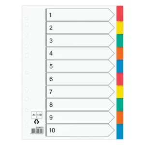 Plastregister otryckta A4 10-fli