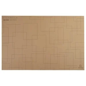 Skrivunderlägg EXACOMPTA 58,5x38,5cm bru