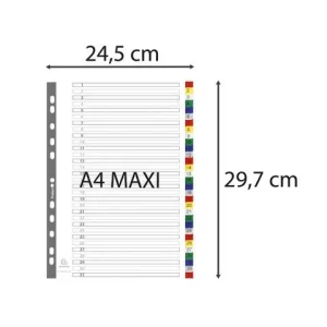 Plastregister EXACOMPTA PP A4+ 1-31 f.f