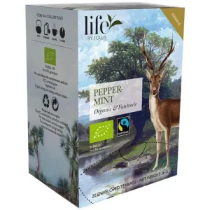 Te LIFE BY FOLLIS Pepparmint 20/fp