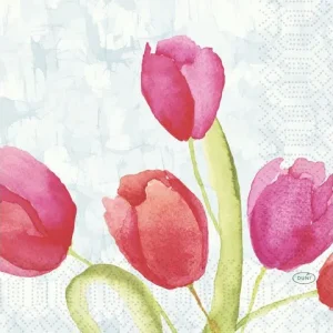 Servett Tulips 3-lags 33X33cm 50/fp