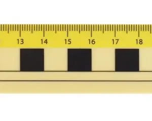 Linjal 30cm dm/cm/mm-grader plast 10/fp