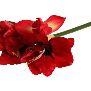 Dekoration Amaryllis 50cm