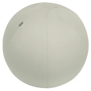 Sittboll LEITZ Ergo m stopp ljgrå 65cm
