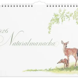 Väggkalender Naturalmanacka 2026