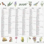 Väggkalender Stora Naturalmanackan 2026