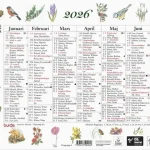 Väggkalender Lilla Naturalmanackan 2026