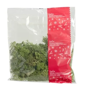 Dekoration mossa grön 100g