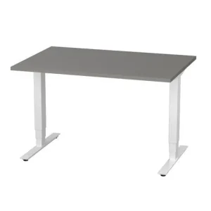 Bord höj/sänk Pro 1200x800 grå/vit