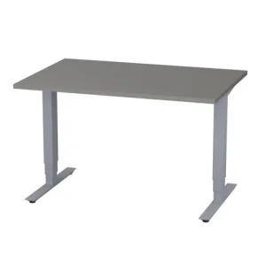 Bord höj/sänk Pro 1200x800 grå/silver