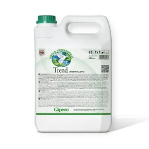 Golvvax GIPECO Trend 5L