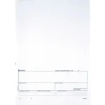 Standardblankett talong Bankgiro 250/fp