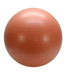 Gymboll 55cm